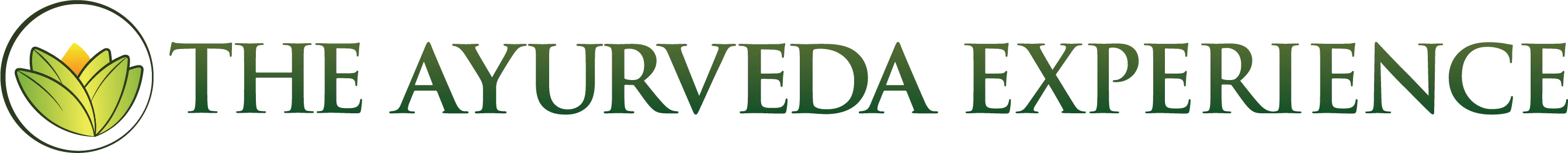 The Ayurveda Experience